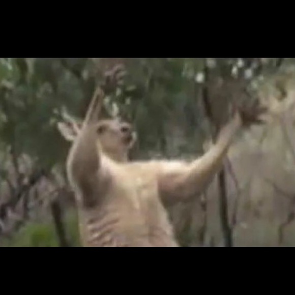 Meet your Posher, Jeffrey - Picture 1 of 1